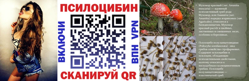 Псилоцибиновые грибы мухоморы  закладка  Новоузенск 